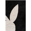 Image 4 : Playboy Blanket (Some Stains)