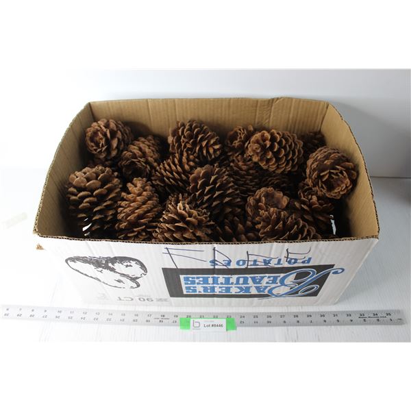 Large Box of Pinecones