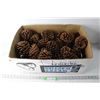 Image 1 : Large Box of Pinecones