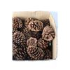 Image 2 : Large Box of Pinecones