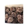 Image 3 : Large Box of Pinecones