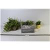 Image 1 : Plastic Plants in Stone Type Containers - Metal Sign Saying