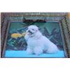 Image 2 : ** Light-Up 3D Dog Picture - Untested, 21" x 17"