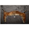 Image 1 : Fox Fur