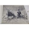 Image 3 : Native Indian Postcards