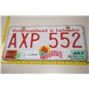 Image 1 : 2001 Newfoundland License Plate