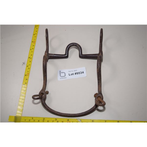 Hard Bit for Rank Horses