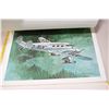 Image 3 : (12) CCPR Airplane Prints