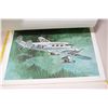 Image 3 : (12) CCPR Airplane Prints