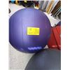 Image 2 : 2 EXERCISE BALLS