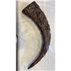 Image 2 : REPLICA CARVED RESIN MAMMOTH TUSK