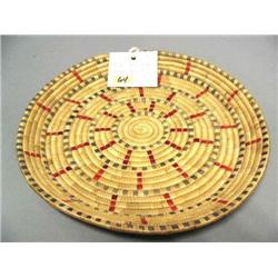 10" Grass Tray, Red/Blue Seal Gut
