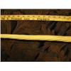 Image 16 : 7' 11" length x 2" diameter rare Narwhal Tusk from Tingit Indian Trader Heendai 1967 acquired pre-19