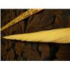 Image 26 : 7' 11" length x 2" diameter rare Narwhal Tusk from Tingit Indian Trader Heendai 1967 acquired pre-19