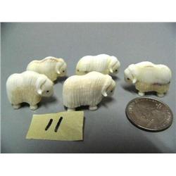 Choice on 5 Ivory Muskox by Charlie Kokuluk