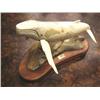 Image 1 : 10 1/2" Jawbone Whale,