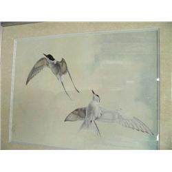 "Arctic Terms" by John Pitcher 32/850 signed and numbered print, est value $500