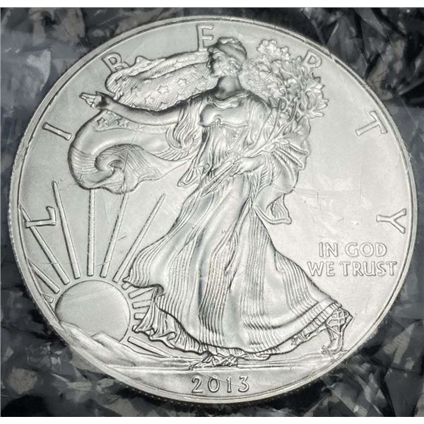 2013 American Silver Eagle