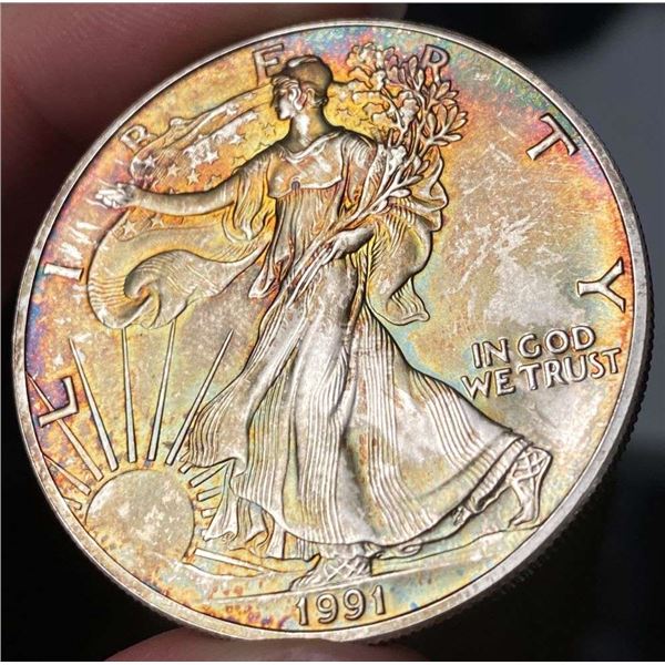 Toned 1991 American Silver Eagle
