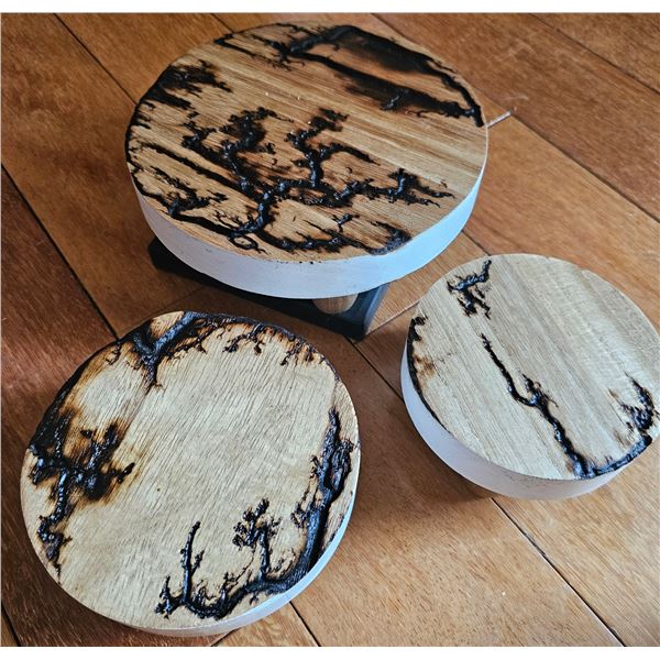 Plant Coasters