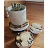 Image 2 : Plant Coasters
