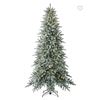 Image 1 : Christmas Tree