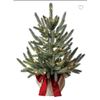 Image 1 : Mini Tree