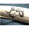 Image 12 : White Ivory Female Walrus Head mount Scrimshawed with Alaskan Animals, 23" Tusks, Min. Bid $600 (43)