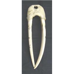 White Ivory Female Walrus Head mount Scrimshawed with Alaskan Animals, 23" Tusks, Min. Bid $600 (43)