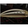 Image 11 : World Class Record class Walrus Head mount, 3" Tusks Scrimshawed with Birds, Min Bid $2000 (43)