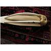 Image 1 : World Class Record class Walrus Head mount, 3" Tusks Scrimshawed with Birds, Min Bid $2000 (43)
