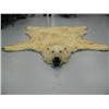 Image 1 : Polar Bear Hide 8' 8"  from Nose to Toe, 7'1" Back Toe to Back Toe