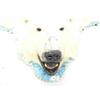 Image 2 : Polar Bear Hide 8' 8"  from Nose to Toe, 7'1" Back Toe to Back Toe