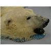 Image 4 : Polar Bear Hide 8' 8"  from Nose to Toe, 7'1" Back Toe to Back Toe