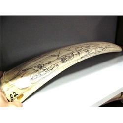 Scrimshawed 26" Walrus Tusk with Kayaker, Whale and Walrus (1)