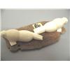 Image 1 : Pair of 4" White Ivory Walruses mounted on Whalebone by Jwongitlia  555C