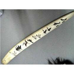 Matched Pair of 33 1/2" Walrus Tusks mounted in Skull, by Al Mayac, Min. Bid $5,000  (1)