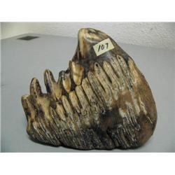 8" Mammoth Tooth  (97)