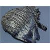 Image 2 : Mastodon 7" Mammoth Tooth (1)