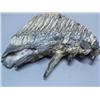 Image 3 : Mastodon 7" Mammoth Tooth (1)