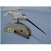 Image 1 : 7 1/2" Fossilized Ivory Narwhal by Al Kooknook mounted on Walrus Jawbone (1)