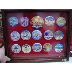 Collection of Iditarod Buttons 1981-1995 Frame Size 12" x 15" (54)