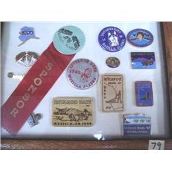 Collection of Iditarod Assorted Buttons, Pins, Frame Size 10" x 13"  (54)