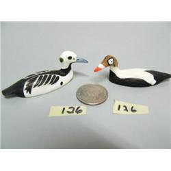 2 Birds, Speckled Eider and Stellar Eider by Charlie Kokuluk (1)