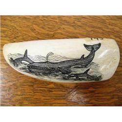 5 1/2" Whale Tooth by Peter Mayac Scrimshawed with 3 Whales  (37)