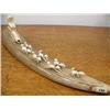 Image 1 : 19" Mammoth Ivory with a  3" Man made of Fossilized Ivory, 3" sled with 7 dogs, Ivory, (1)