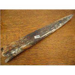 18 1/2" Fossilized Ivory Walrus Tusk, complete 449A