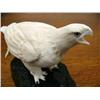 Image 2 : 5 1/2" Carved White Ivory Eagle by Roger Silook on Soapstone  520C