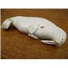 Image 1 : Jawbone Walrus 8" with Ivory Tusks (33)