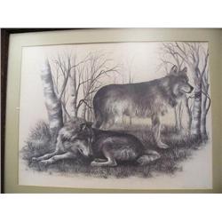 Print  81/250 Ronnilee Lynch, 1978, 17 1/2" x 23 1/2" image size  (39)